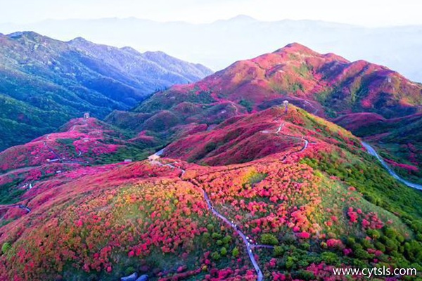 西藏旅游最佳季節