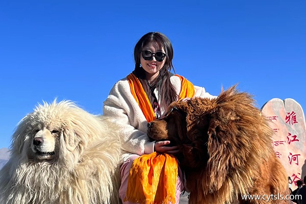 六月從江西景德鎮去西藏玩七天多少錢