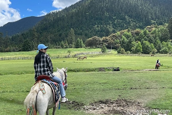 林芝報團旅游多少錢